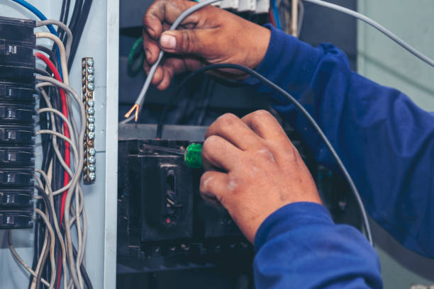 Best Licensed Electrician  in Wolfe City, TX